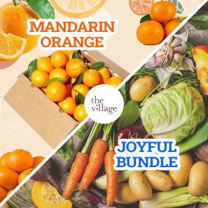 mandarin orange joyful bundle